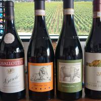 vino Barolo e Barbaresco