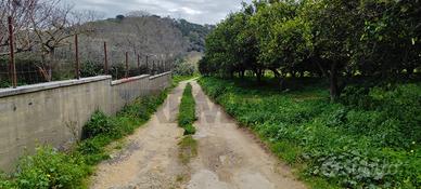 Terreno - Grammichele