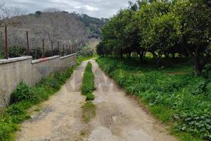 Terreno - Grammichele