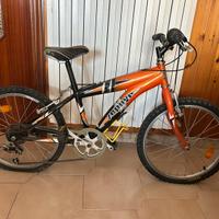 Bici Zephyr 320