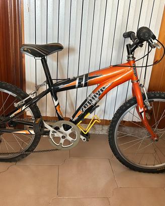 Bici Zephyr 320