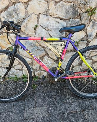 Mtb bimbo/ragazzo 26 Grandis
