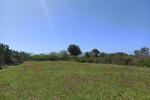 Terreno Calasetta zona F/2