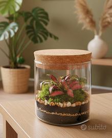 terrarium by Sterrarium 🦋 