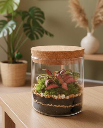 terrarium by Sterrarium 🦋 