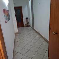 5 vani pressi Policlinico e ex Etna Bar