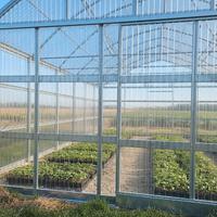 serra per giardinaggio