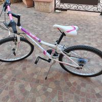 Bici da Ragazza MTB Regina "Diva" 240