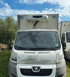 Furgone frigo peugot boxer