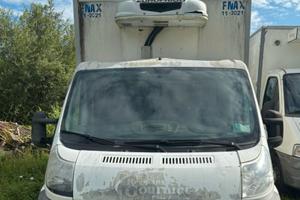 Furgone frigo peugot boxer