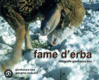 Fame d’erba Gianfranco bini lassù gli ultimi