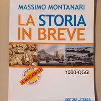 La storia in breve. Libro di storia