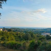 Terreno edificabile 5000 metri Policastro/Scario