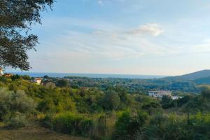 Terreno edificabile 5000 metri Policastro/Scario