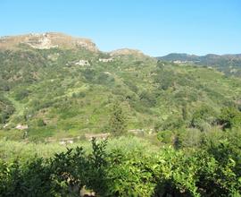 Terreno irrigabile e Fabbricato rurale
