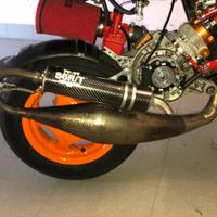 Smembro zip stage 6 r/t 1998