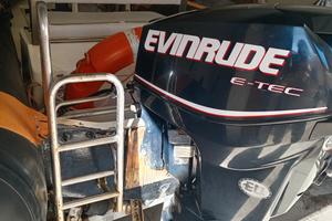 fuoribordo motore evinrude e-tech 30 cv 2011