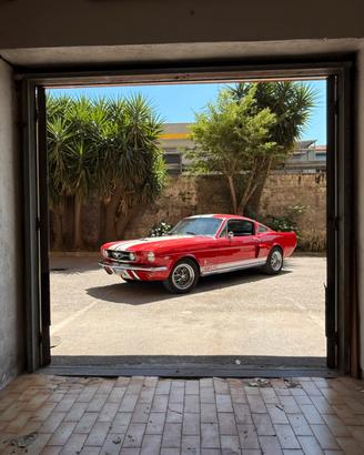 Ford mustang fastback shelby gt350 tribute manuale