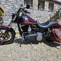 Harley davidson dyna street bob