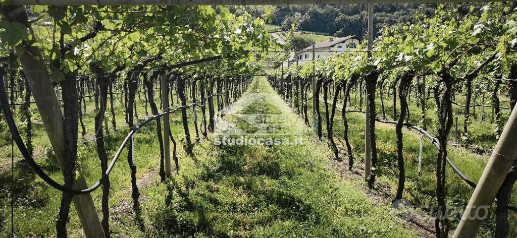 Terreno di 13552 m² a Volano - Altro