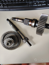 Ingranaggi Trasmissione Beverly 300 del 2012