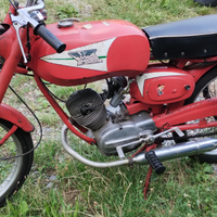 Corsarino 48