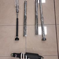 MONO AMMO.+CARTUCCE+MOLLE KTM 790 ADVENTURE 19/24