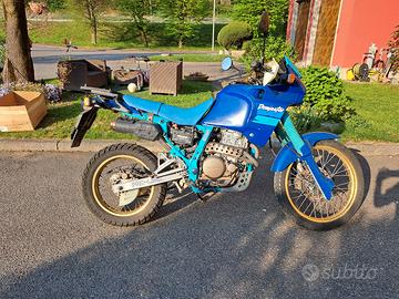 Honda Dominator 