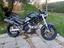 Immagine 6
