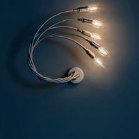 LAMPADA APPLIQUE CATELLANI E SMITH MOD. TORCIÙ 5