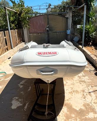 Tender suzumar Vetroresina 270
