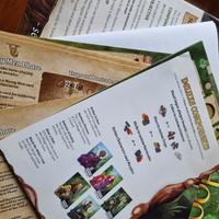 Gioco da Tavolo Robin Hood and the merry men