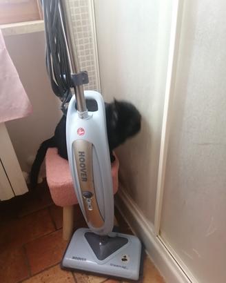 scopa a vapore sanificante, sterilizzante. 