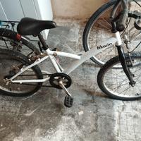 bici da 20