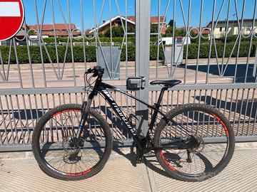 MTB montana urano 29 (prezzo  da concordare)