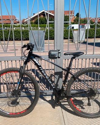MTB montana urano 29 (prezzo  da concordare)