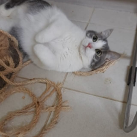 Nemo adozione del cuore