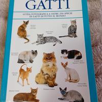 "Gatti" David Alderton