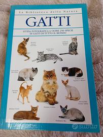 "Gatti" David Alderton