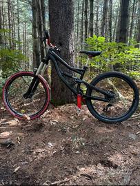 specialized status