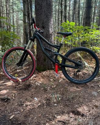 specialized status