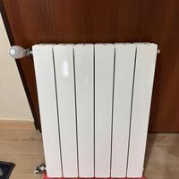 Termosifone Prodige 6 elementi con valvole incluse