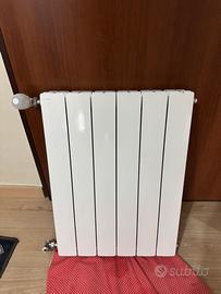 Termosifone Prodige 6 elementi con valvole incluse