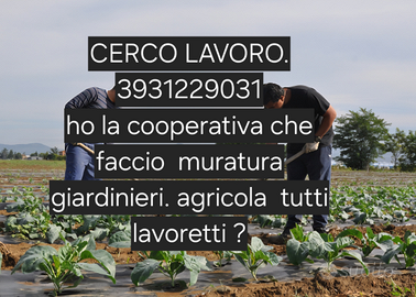 Cooperativa che faccio muratura giardinieri. agri