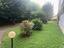 Immagine 28