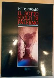 libri  Palermo storia e geologia Todaro De Vito