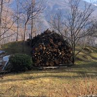 Legna da ardere di castagno