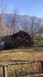 Legna da ardere di castagno