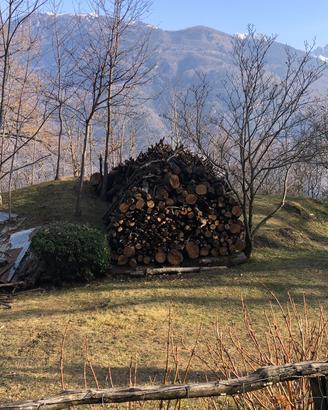 Legna da ardere di castagno