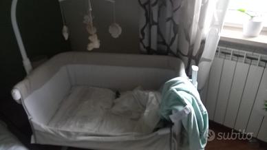 Culletta Cam con carion